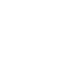 linkedin icon